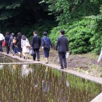 ケルネル水田２