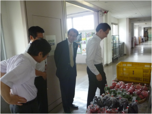 農場で収穫した野菜の販売所