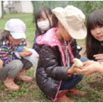 ヒヨコに触れる様子