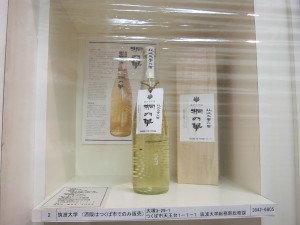 筑波大学の酒　純米吟醸「桐の華」